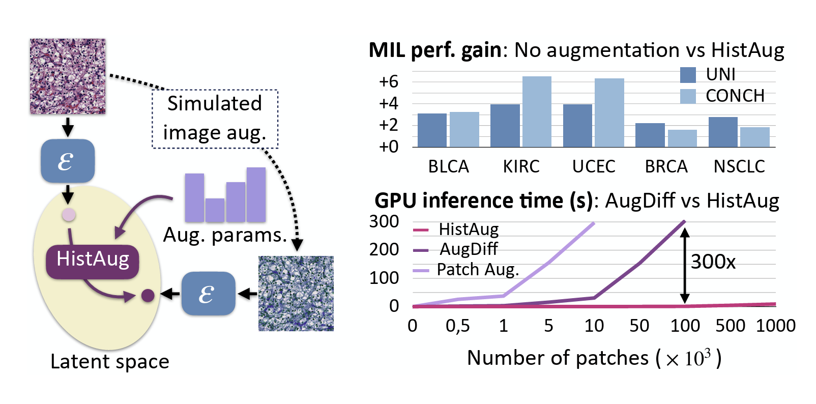 HistAug : Controllable Latent-Space Augmentation for Digital Pathology
