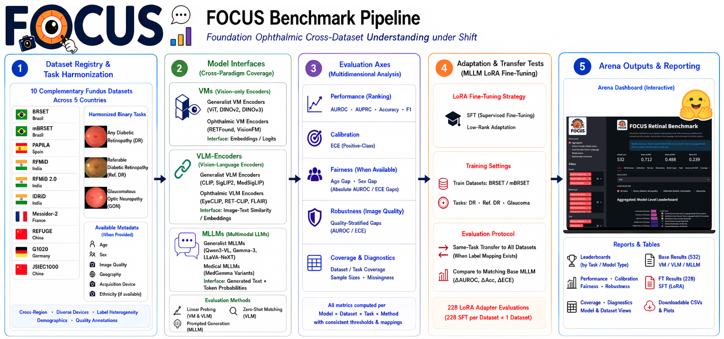 FOCUS: Benchmarking Retinal Model Generalization from Foundation Vision Encoders to Multimodal LLMs