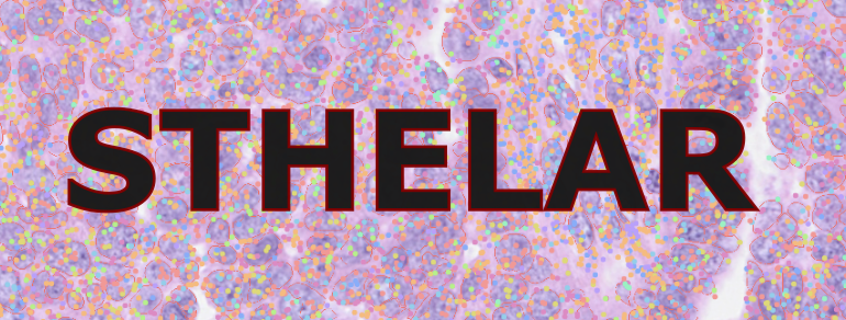 STHELAR, a multi-tissue dataset linking spatial transcriptomics and histology for cell type annotation
