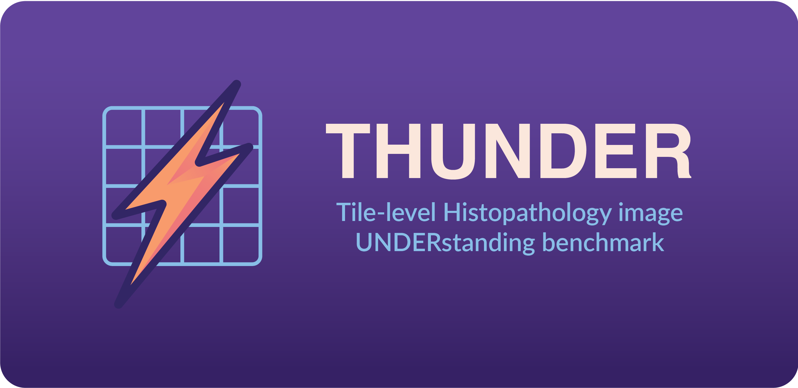 THUNDER: Tile-level Histopathology image UNDERstanding benchmark
